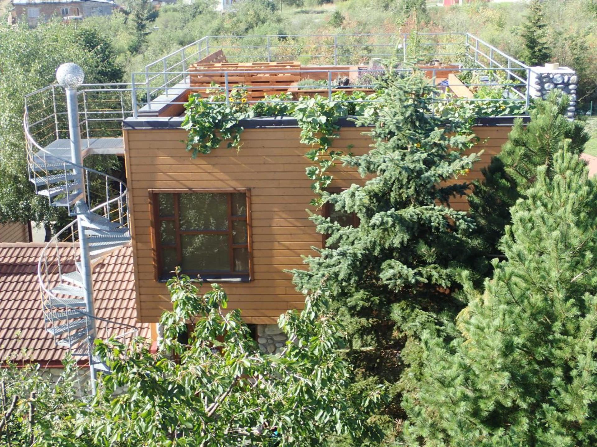 Family House - Zuzana